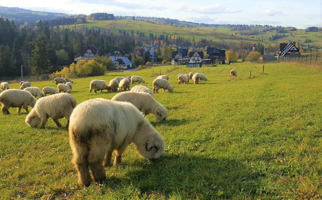 Villa Jagodovo Bialy Dunajec Luaran gambar