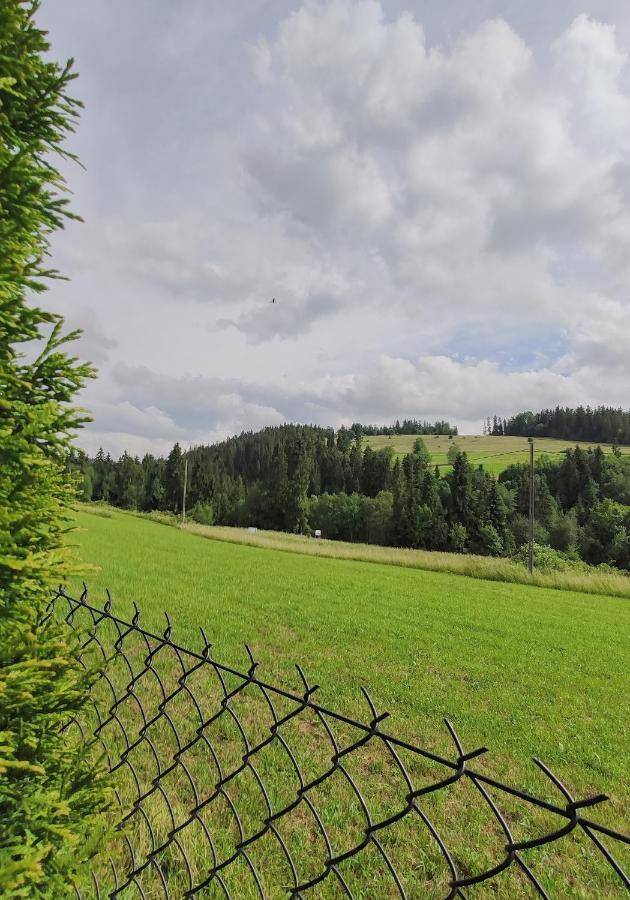 Villa Jagodovo Bialy Dunajec Luaran gambar
