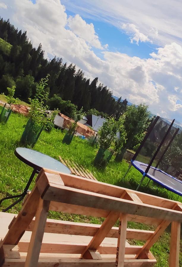 Villa Jagodovo Bialy Dunajec Luaran gambar